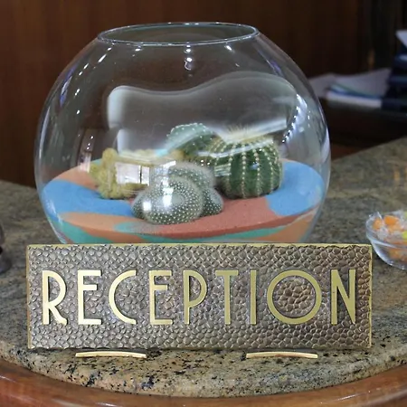 ホテル Augustus 4*